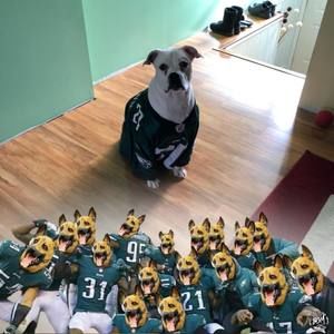 Meet your Posher, Kelly